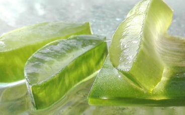 maschera capelli aloe vera